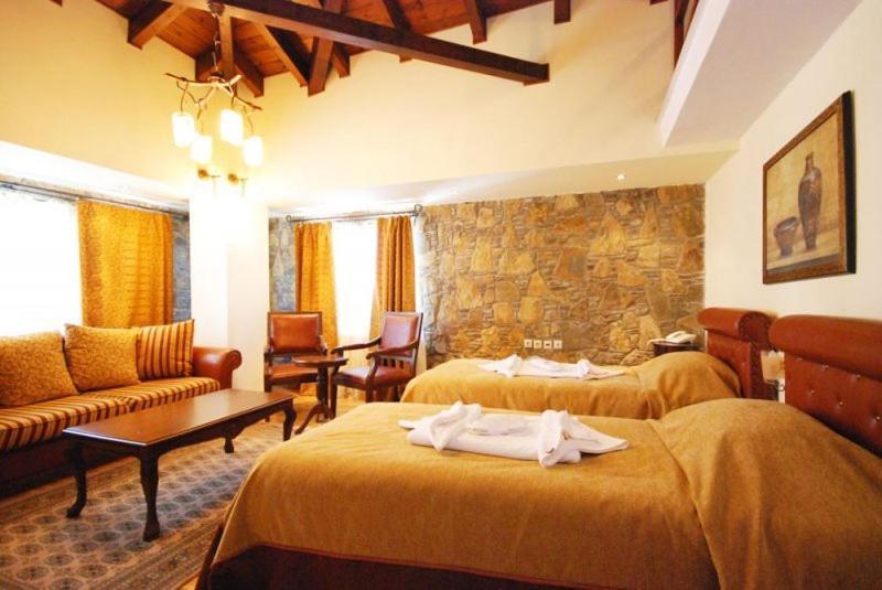Vasilitsa Spa Resort غريفينا الغرفة الصورة